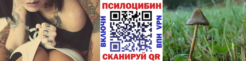 Псилоцибиновые грибы мицелий Духовщина
