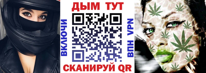 наркота  Духовщина  ОМГ ОМГ вход  Канабис сатива 